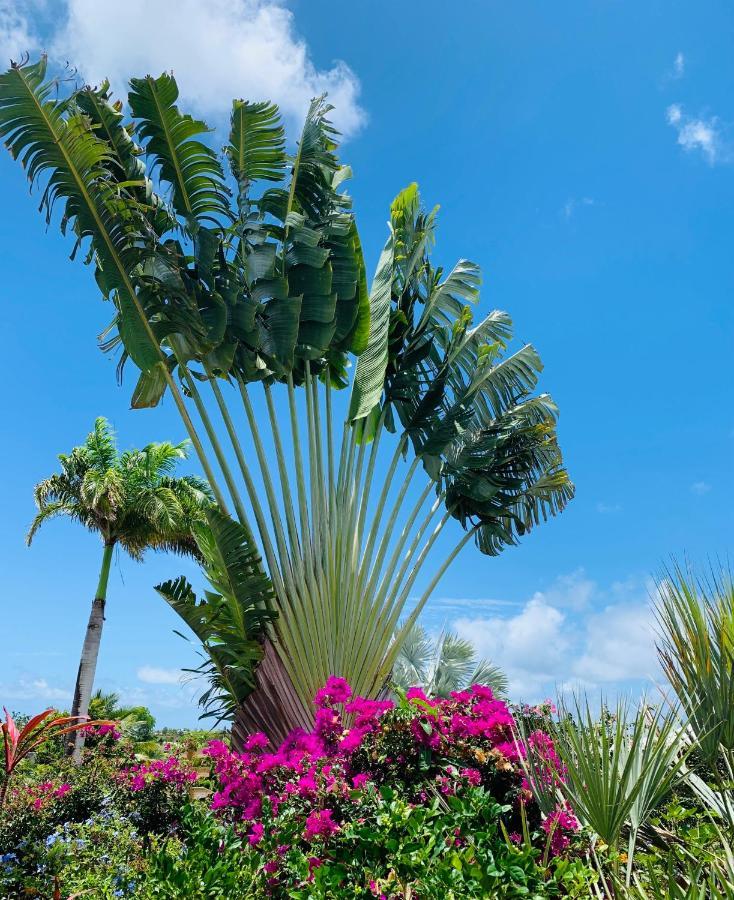 Résidence de tourisme Domaine Saint-François Esterno foto